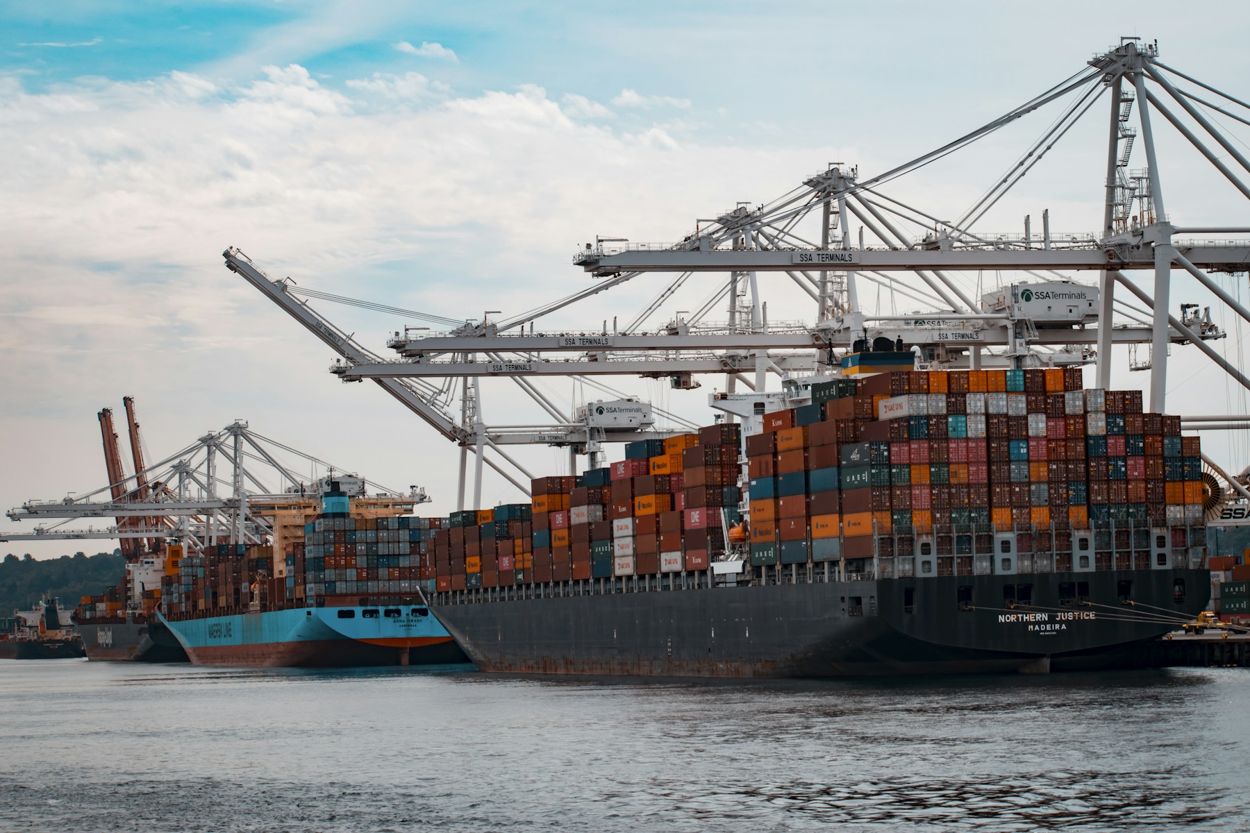 Container vessels being handled at an international cargo terminal